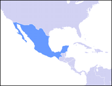 MAPA MEXICO